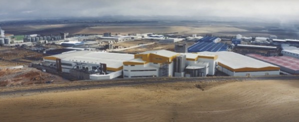 Iris se rêve en porte-étendard de l’industrie algérienne